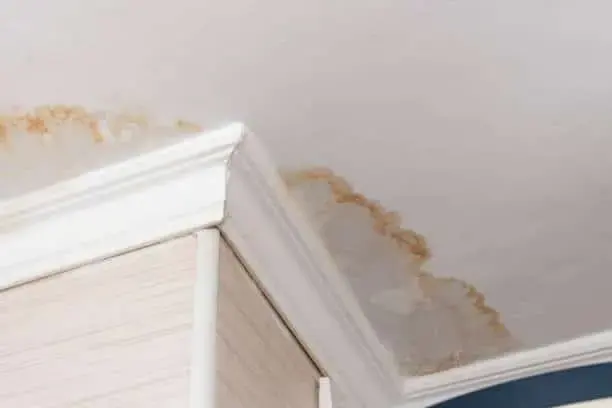 Brown water stain spreading along the ceiling at an exterior wall corner in Pico Rivera, CA